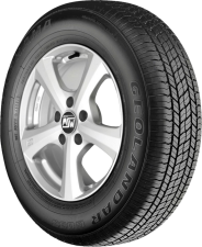 Yokohama Geolandar G033 Tires