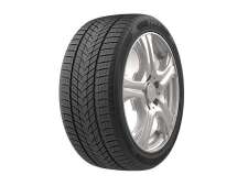 ZMAX WINTERHAWKE II Tires